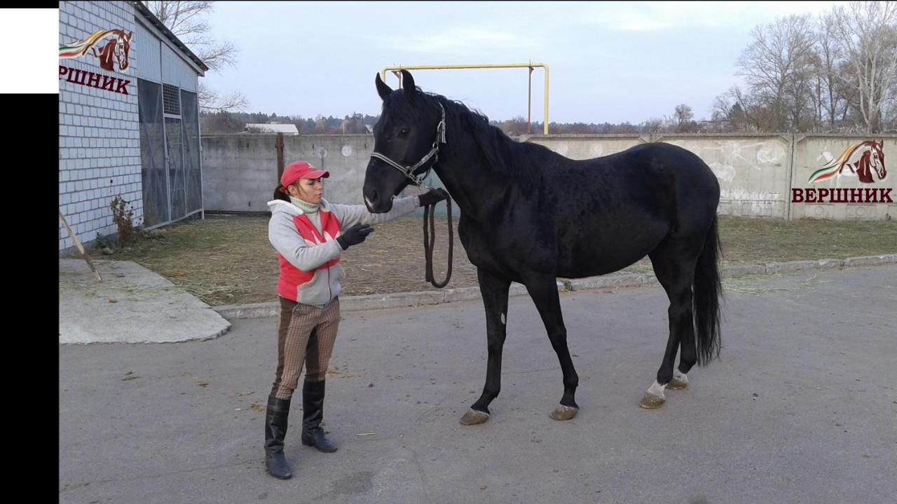 Vershnyk Čerkasy Exteriér fotografie